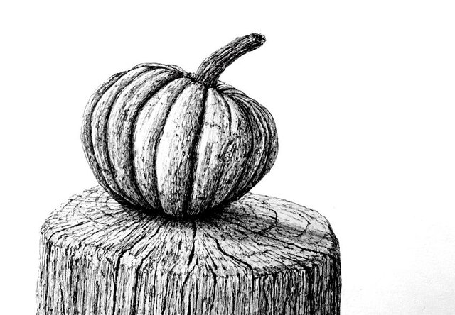 pumpkin-pen-drawing.jpg