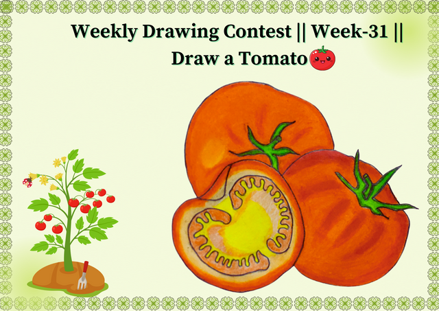 Weekly Drawing Contest  Week-31  Draw a Tomato @Zisha Hafiz.png