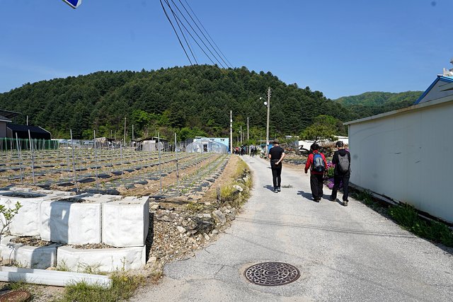 b-DSC00885.JPG