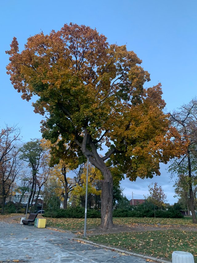 IMG_6314.jpeg