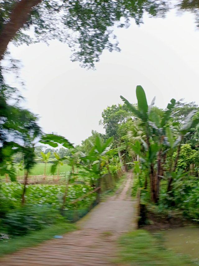 2292.jpg