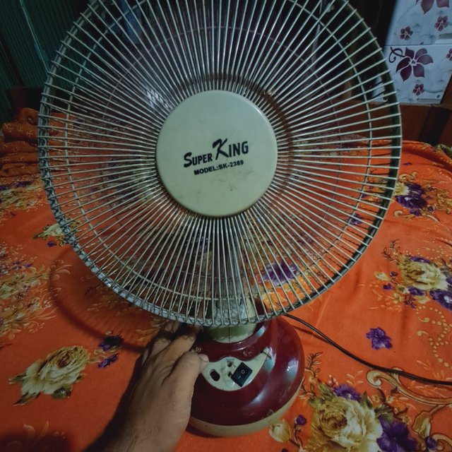 1000033258.jpg