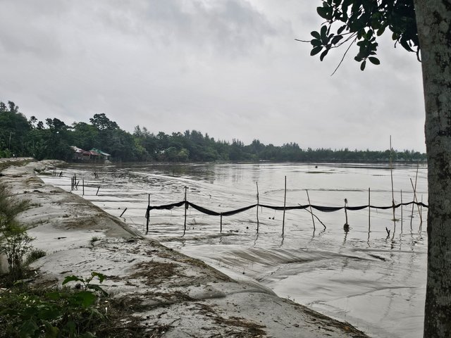 20250912_080000.jpg