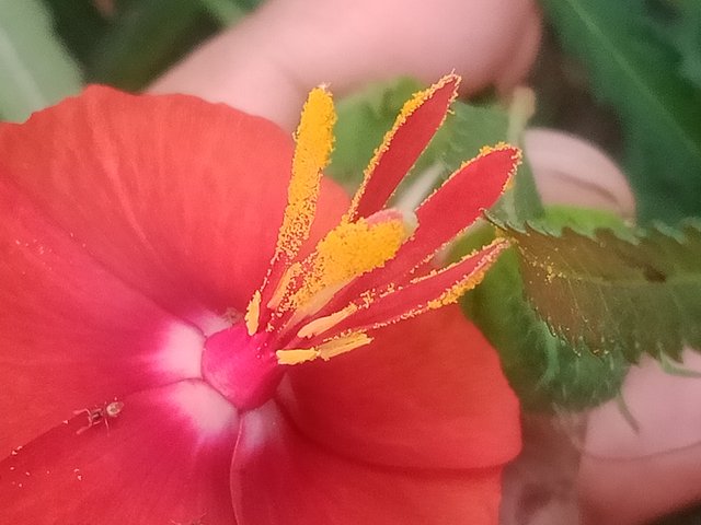 IMG20251002130403.jpg