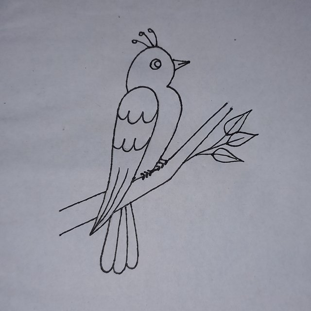 20250815_112636.jpg
