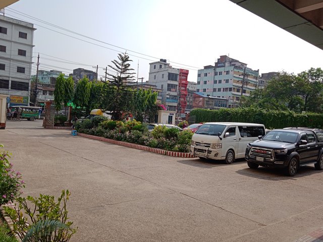 IMG_20250430_083513_1.jpg