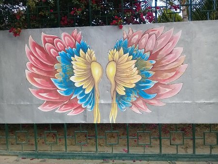 20220119_073528.jpg