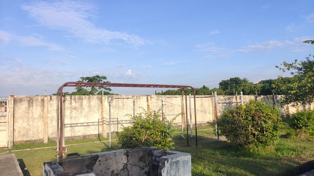 IMG_20250617_172834.jpg