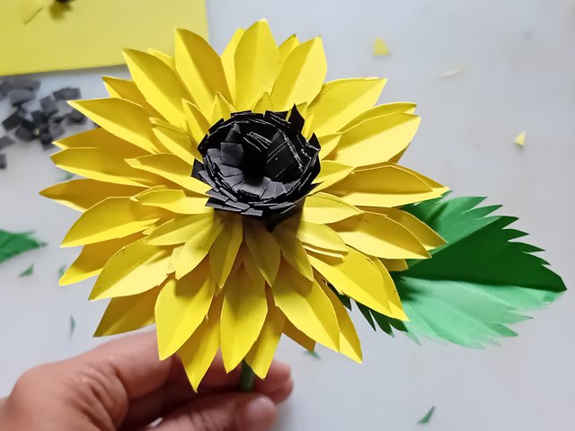 1000043910.jpg