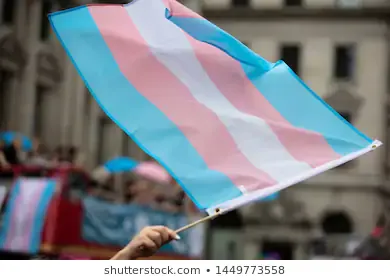 transgender-flag-being-waved-lgbt-260nw-1449773558.webp