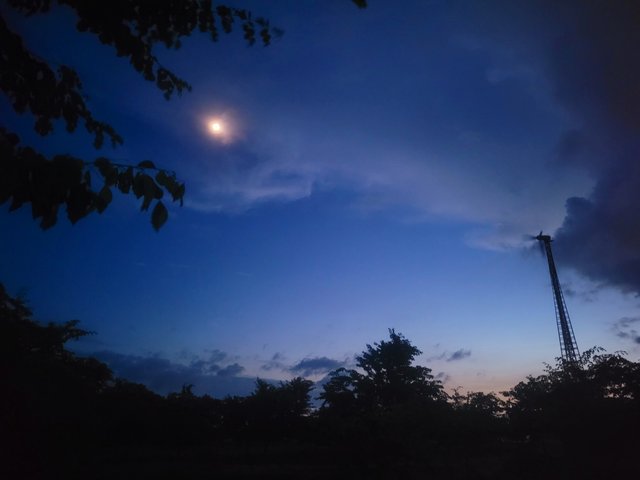 20250730_192041.jpg