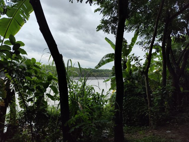 IMG_20250529_122343.jpg