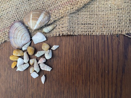 Shells_burlap_on_wood500.jpg