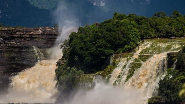 canaima 2.jpg