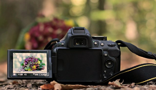 slr-camera-3752493_1280.jpg