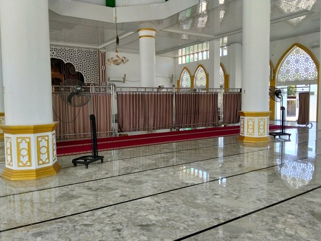 9245.jpg