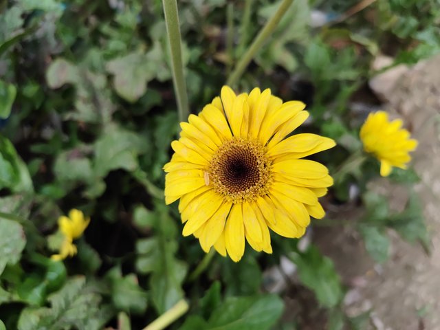 IMG_20250714_175654.jpg