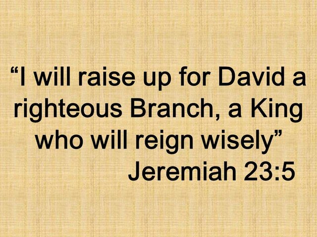 Messianic prophecy. I will raise up for David a righteous Branch, a King who will reign wisely. Jeremiah 23,5.jpg