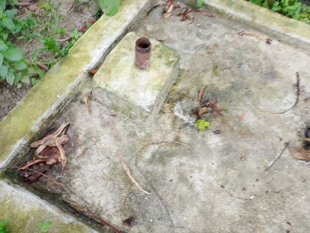 1000042718.jpg
