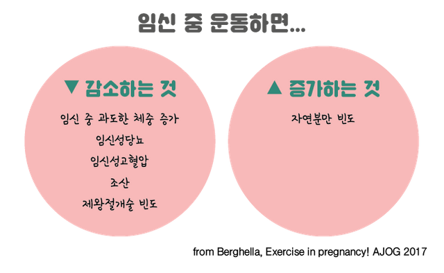 임신 5주 산모의 운동 (1).png