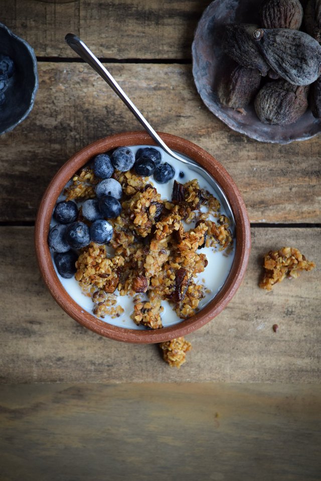 Dried Fig, Millet, and Flaxseed Granola (6).jpg
