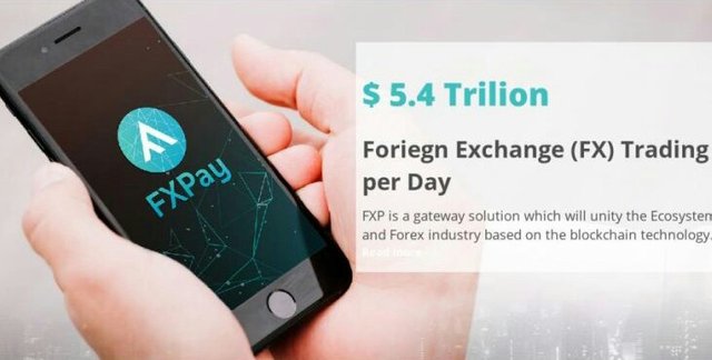 Forex Trading With The FXPay Networ