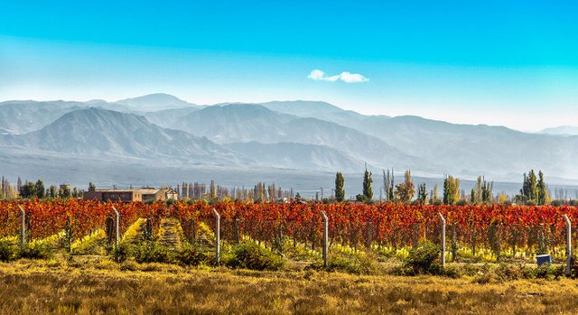 1-slide-chile-wine-country-vineyard-pano.jpg