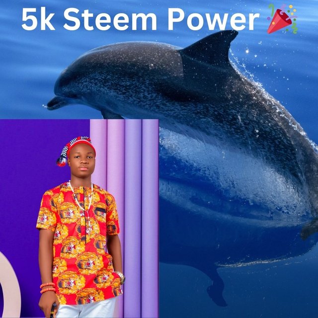 14 April World Dolphin Day Instagram Post_20241106_172925_0000.jpg