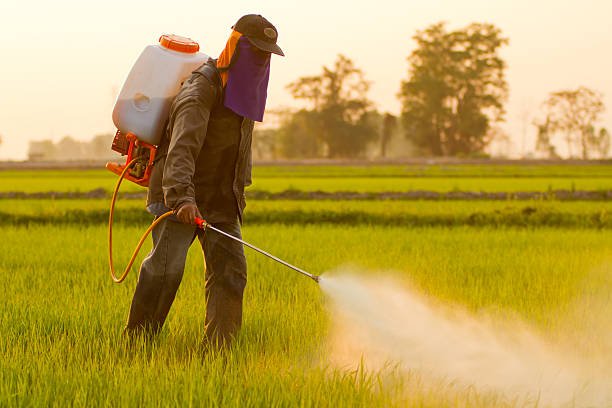 farmer-spraying-pesticide-picture-id468867687.jpeg
