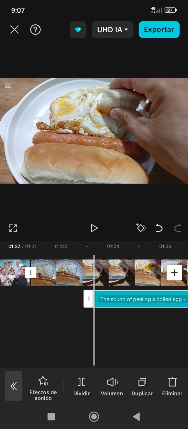 1000208118.jpg