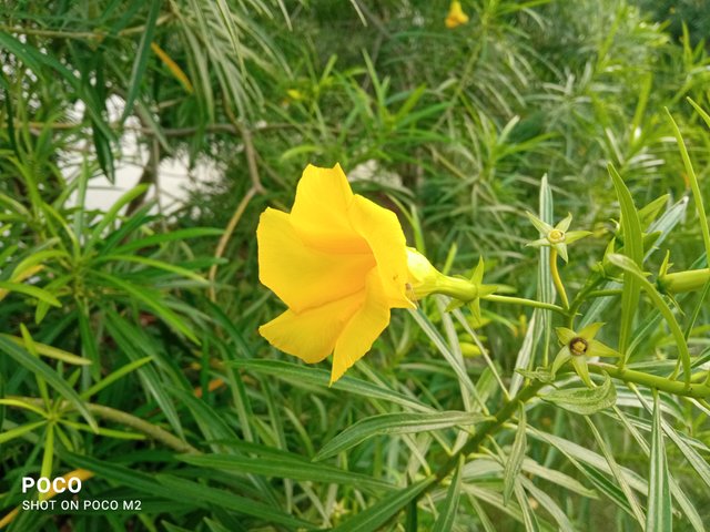IMG_20250605_175850.jpg