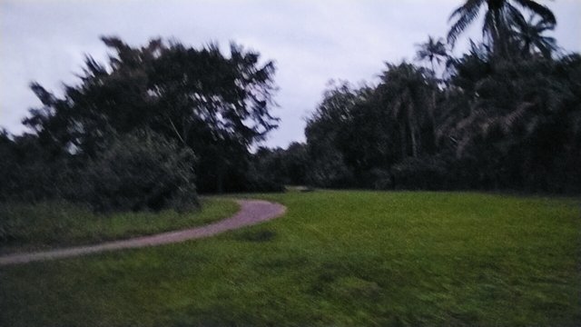 1000059665.jpg