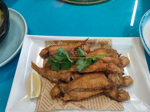 IMG20250419133155.jpg