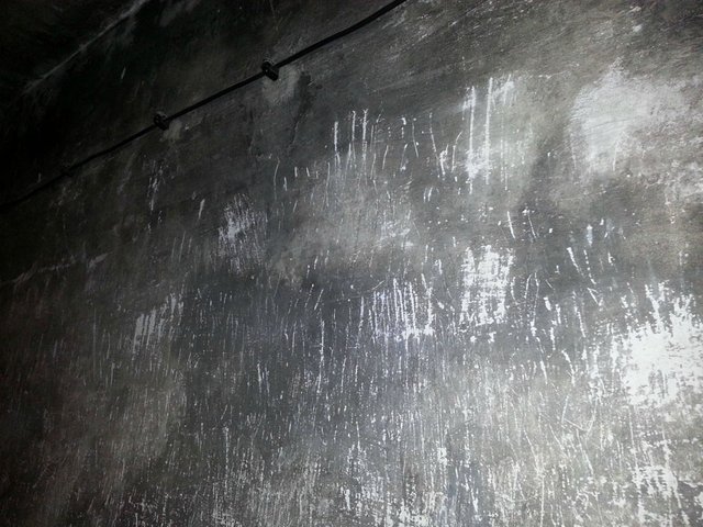 2. Inside an Auschwitz gas chamber.jpg