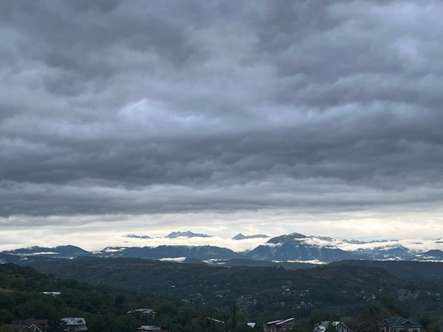 IMG_4217.jpeg