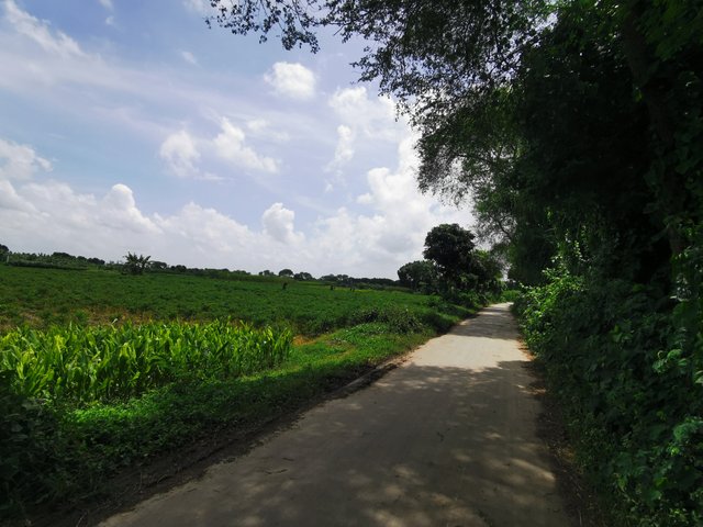 IMG_20240910_121422.jpg