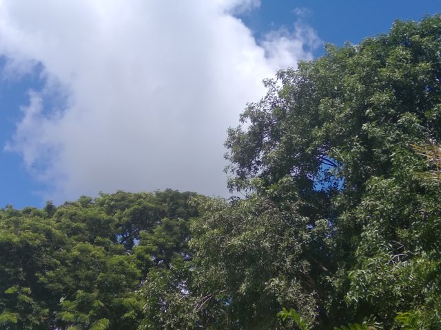20210901_140350.jpg