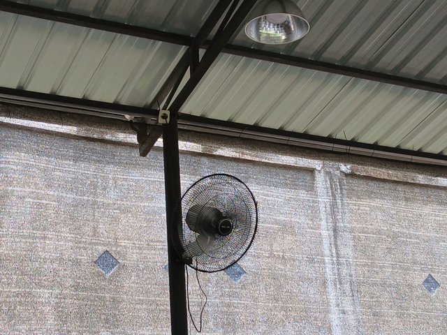 20250715_132929.jpg