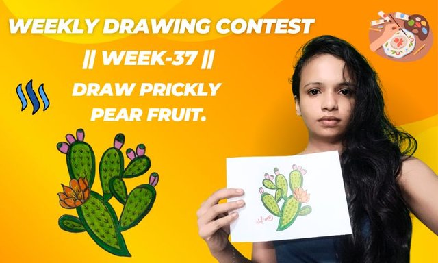 Weekly Drawing Contest.jpg