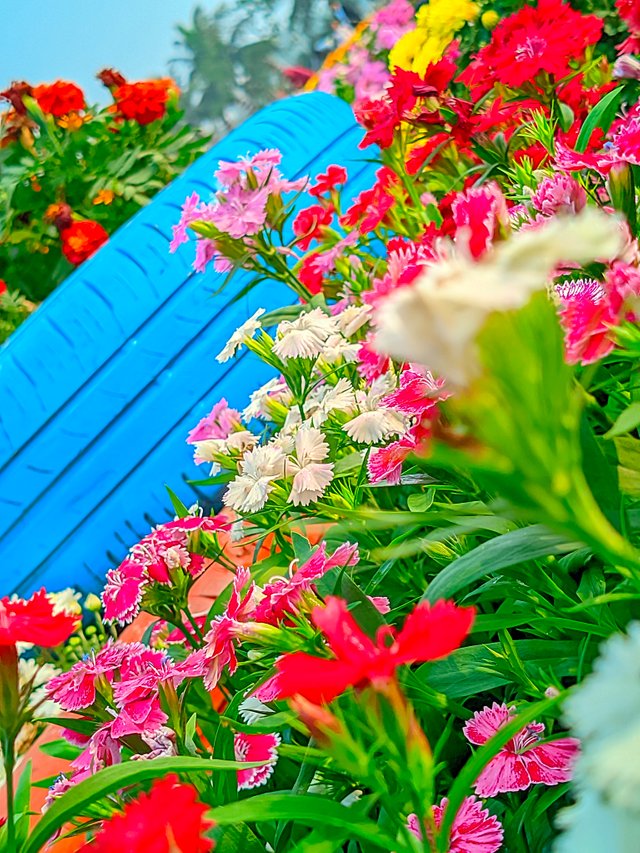 LMC_20250122_153750_🌈Color boost by Riyan .jpg