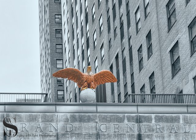 Grand Central Eagle.jpg