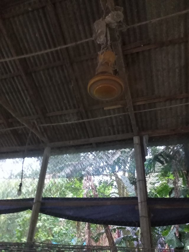 IMG20250804183011.jpg