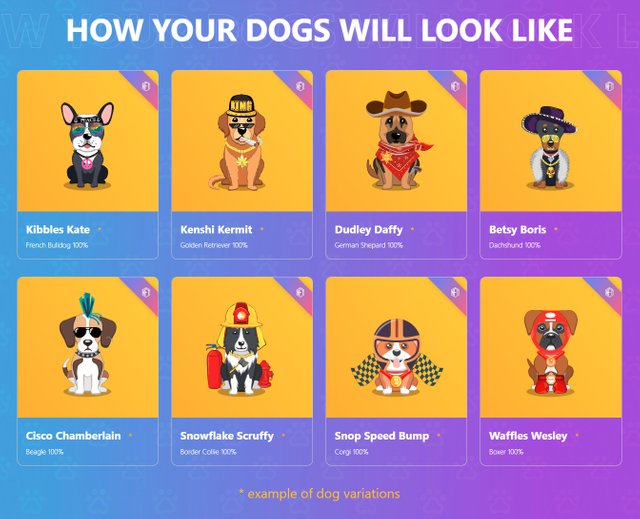 YOUR DOGS WILL LOOK LIKEHOW YOUR DOGS WILL LOOK LIKE.jpg