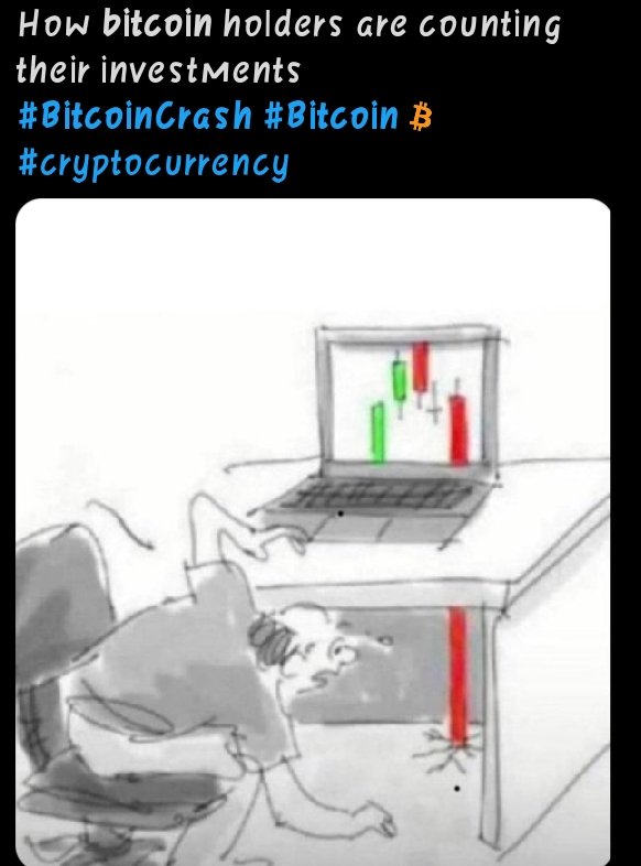 bitcoin-crash-meme.jpeg