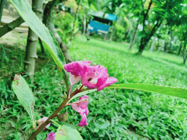 IMG20210621133610.jpg