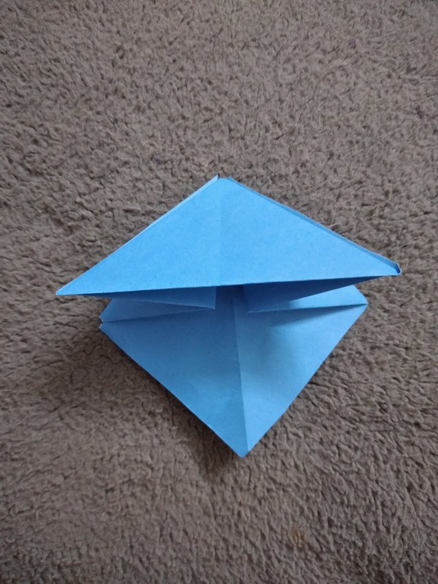 20250524_221543.jpg
