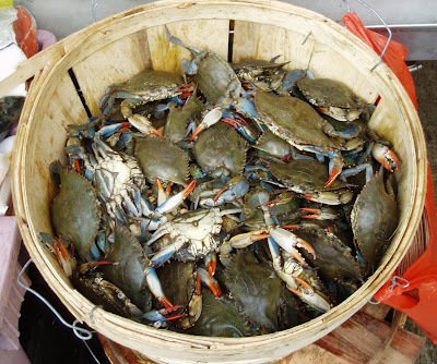 bucket-of-crabs.jpg