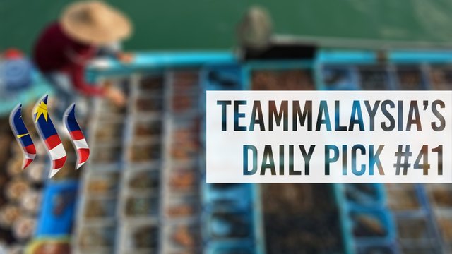 TeamMalaysia Daily Pick 2.jpg