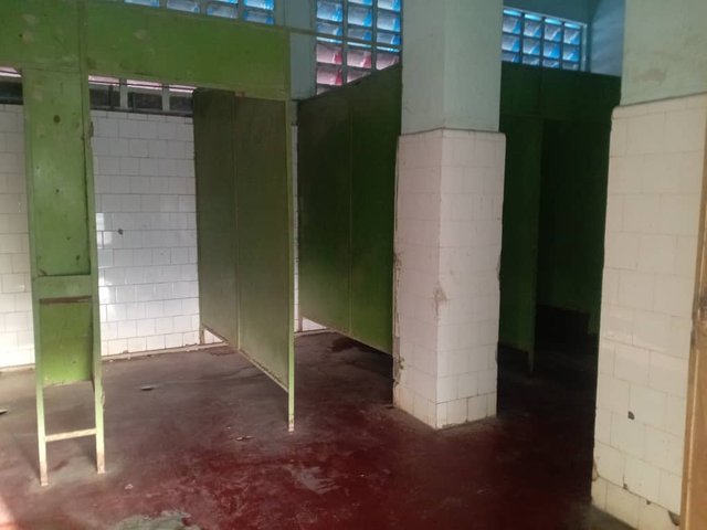 estadio10.jpg