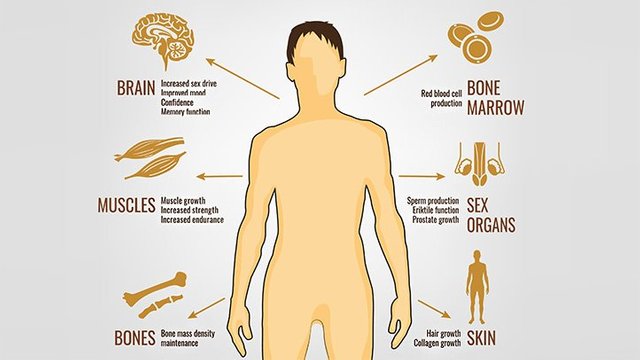 Why Men And Women Are Concern About Their Testosterone.jpg